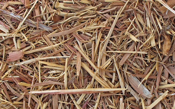 Mulch